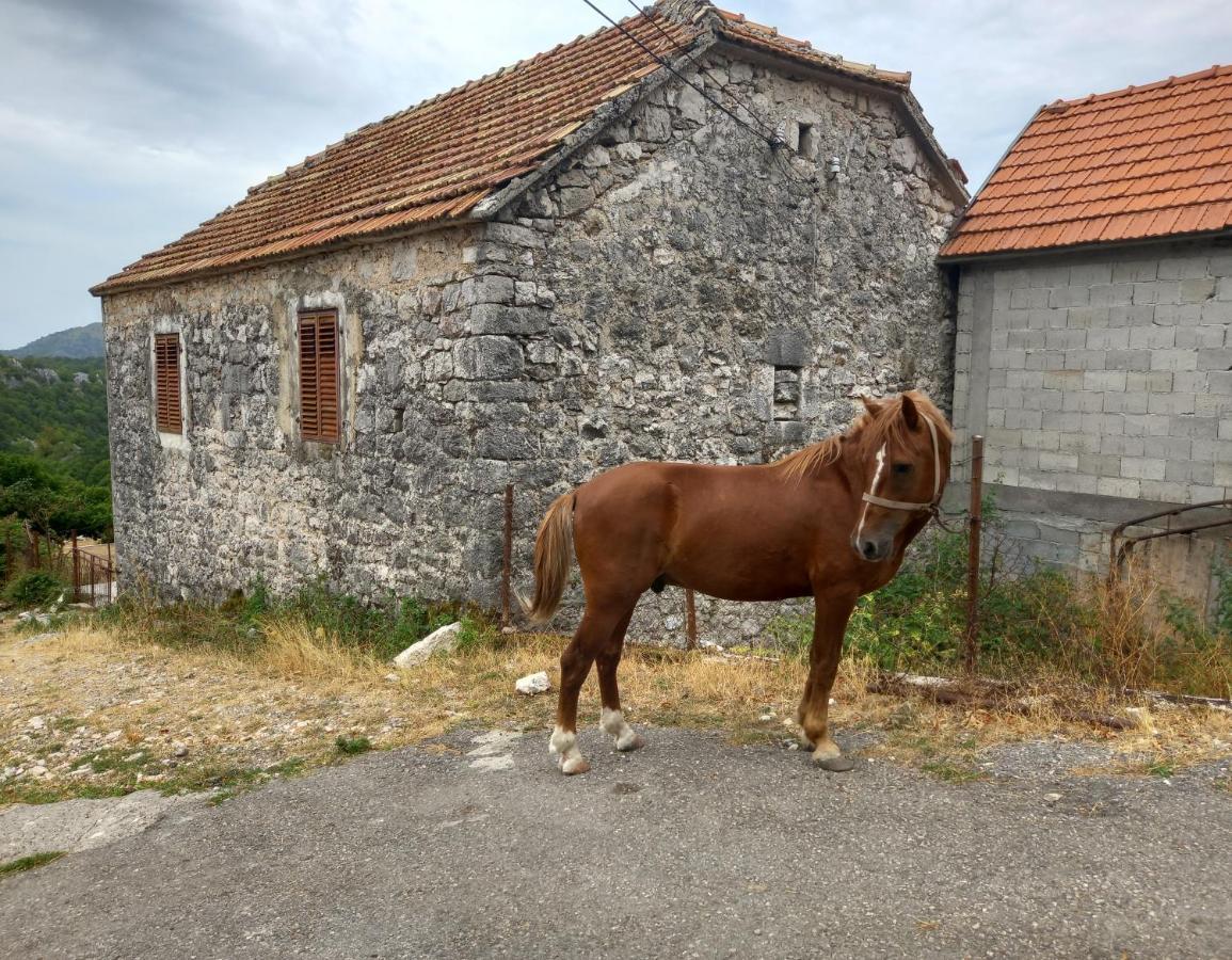 Konak Ugnji-Village Cetinje Exterior photo